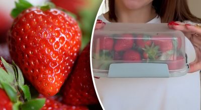Cómo conservar fresas frescas durante más tiempo: consejos agrícolas