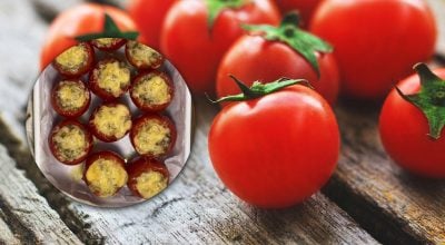 En lugar de col y pimientos rellenos: receta de tomates rellenos con relleno tierno