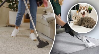 No quedará ni rastro: 7 pasos para eliminar el olor a orina de tu alfombra