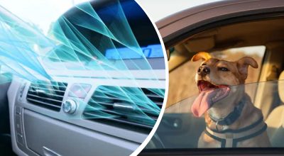 Ola de calor en Ucrania: cómo enfriar rápidamente el interior del coche sin aire acondicionado