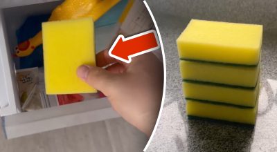 Por qué meter una esponja en el congelador: un sencillo truco eliminará un gran problema