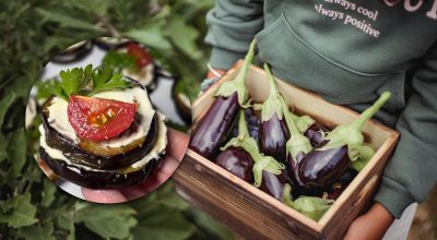 Sabroso como en un restaurante: el aperitivo perfecto a partir de ingredientes sencillos